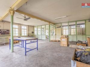 Pronájem výrobních prostor, Krásná Lípa, Bezručova, 5000 m2