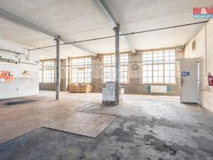 Pronájem výrobních prostor, Krásná Lípa, Bezručova, 5000 m2