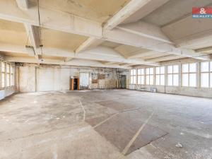 Pronájem výrobních prostor, Krásná Lípa, Bezručova, 5000 m2