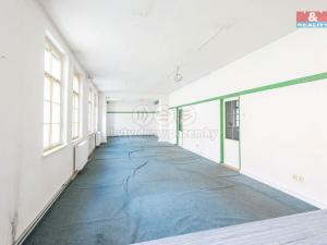 Pronájem výrobních prostor, Krásná Lípa, Bezručova, 5000 m2
