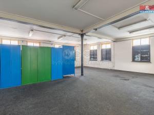 Pronájem výrobních prostor, Krásná Lípa, Bezručova, 5000 m2