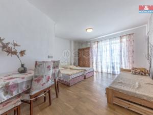 Prodej ubytování, Třebívlice - Dřemčice, 950 m2