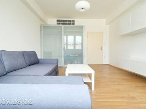 Pronájem bytu 1+1, Praha - Nové Město, Opletalova, 32 m2