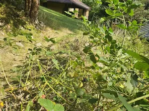 Prodej chalupy, Morávka, 150 m2