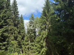 Pronájem chalupy, Vysoká Pec, 86 m2