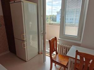 Pronájem bytu 1+1, Ostrava, Opavská, 42 m2