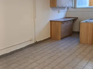 Pronájem bytu 1+kk, Kutná Hora, Tylova, 45 m2