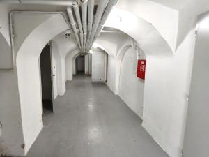 Pronájem skladu, Šenov, U Alejského dvora, 106 m2