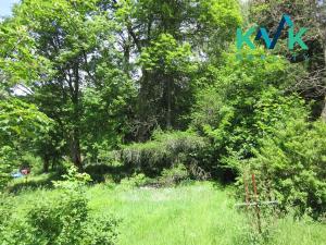 Prodej louky, Nejdek, 3354 m2