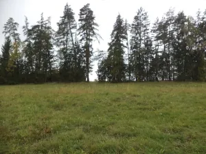 Dražba louky, Vlastiboř, 23043 m2
