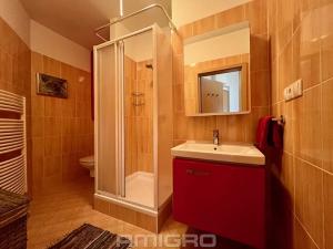 Pronájem bytu 1+kk, Brno, Cacovická, 39 m2