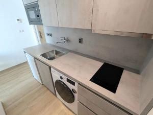 Pronájem bytu 1+kk, Brno, Placzkova, 27 m2