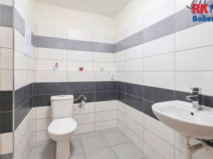 Pronájem bytu 2+kk, Český Brod, 28. října, 47 m2