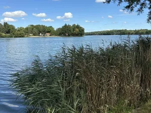 Prodej pozemku pro bydlení, Suchdol nad Lužnicí, 1001 m2