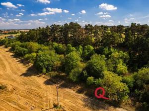 Prodej pozemku pro bydlení, Brandýsek, Nad Kovárnou, 16339 m2