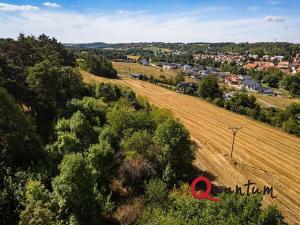 Prodej pozemku pro bydlení, Brandýsek, Nad Kovárnou, 16339 m2