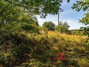 Prodej pozemku pro bydlení, Brandýsek, Nad Kovárnou, 16339 m2