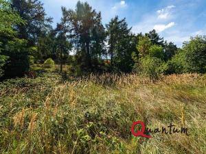 Prodej pozemku pro bydlení, Brandýsek, Nad Kovárnou, 16339 m2