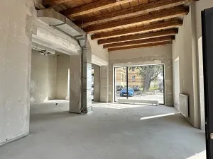Prodej obchodního prostoru, Brno, Opuštěná, 99 m2