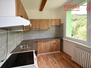 Pronájem bytu 2+1, Jirkov, Krušnohorská, 65 m2