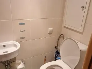 Pronájem bytu 3+1, Plzeň, Staniční, 78 m2