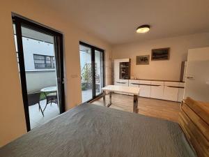 Pronájem bytu 1+kk, Brno, Bratislavská, 58 m2