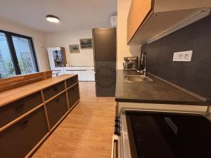 Pronájem bytu 1+kk, Brno, Bratislavská, 58 m2