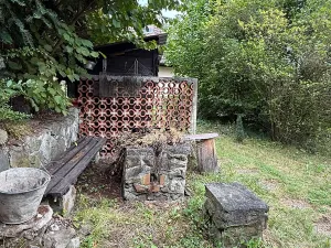 Prodej chaty, Nespeky, 50 m2