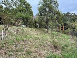 Prodej chaty, Nespeky, 50 m2