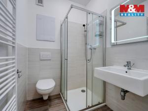 Pronájem bytu 2+kk, Zbůch, Brigádnická, 46 m2