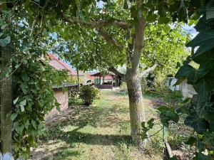 Prodej rodinného domu, Lukovany, 84 m2