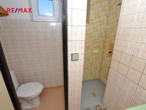 Pronájem rodinného domu, Plzeň, K Dráze, 160 m2