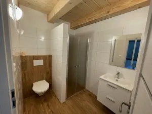 Pronájem rodinného domu, Petrovice, 338 m2