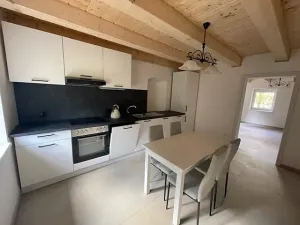 Pronájem rodinného domu, Petrovice, 338 m2
