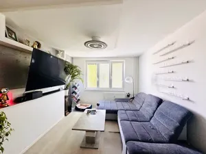Prodej bytu 2+1, Cheb, Družstevní, 52 m2