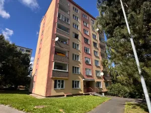 Prodej bytu 2+1, Cheb, Družstevní, 52 m2