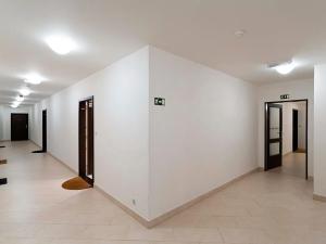 Pronájem bytu 1+kk, Praha - Žižkov, Olšanská, 43 m2