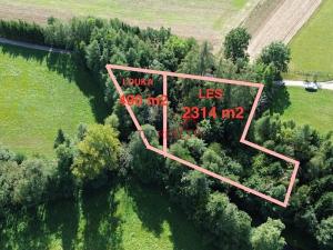 Prodej lesa, Jeřišno, 2804 m2