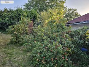 Prodej chaty, Teplice, 23 m2