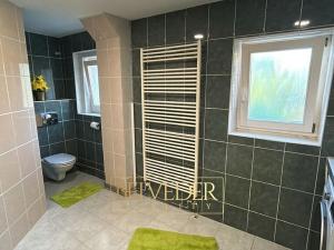 Pronájem bytu 5+kk, Teplice, Slovenská, 150 m2