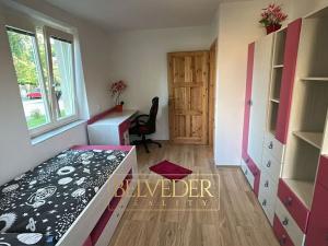 Pronájem bytu 5+kk, Teplice, Slovenská, 150 m2