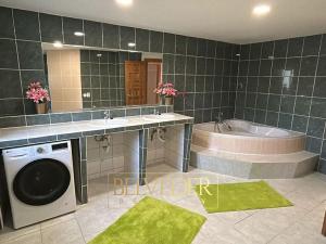 Pronájem bytu 5+kk, Teplice, Slovenská, 150 m2