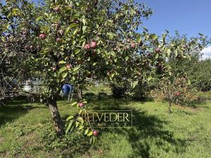 Prodej zahrady, Dubí, B. Němcové, 312 m2