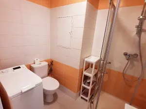 Pronájem bytu 1+1, Praha, Kaplická, 30 m2