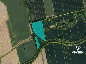 Prodej lesa, Opava, 29146 m2
