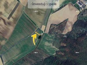 Prodej pole, Nechvalín, 1248 m2