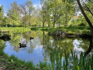 Pronájem bytu 2+kk, Brno, Lidická, 61 m2