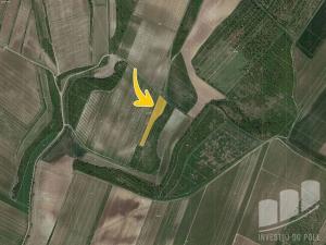 Prodej pole, Popice, 5208 m2