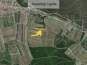 Prodej pole, Dolní Věstonice, 747 m2