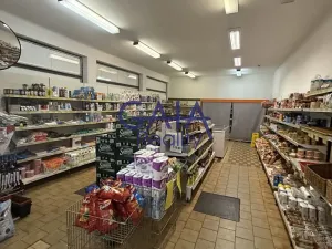 Prodej obchodního prostoru, Suchdol nad Lužnicí, Husova, 401 m2